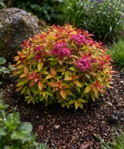 0489d35e93315af108e63381fd9b0cd6