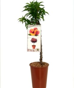 b1372134cb027f5947b0db2476aacf4e