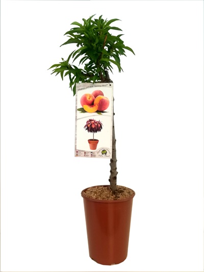 b1372134cb027f5947b0db2476aacf4e