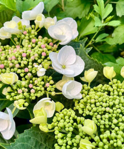 5d42dc077bc69474e6eb531805f6d99d