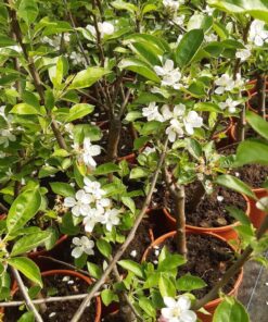 41aa7203f22382cdadeb4af5a435dbf7