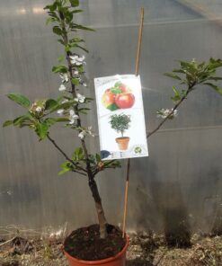 7b624974fdbdab6b46192ec11277d529