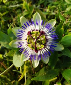 464bf3fbf7f73b71408ceb2f090b40d7