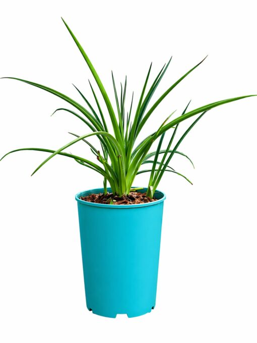 c908b92fc144c6a3359c35350a1e962e