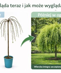 8b0afb531aaf0df0bc6ed0bc6d21db2b