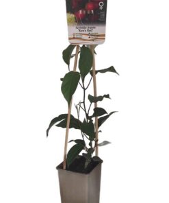 940f99fa9830c8b979db4da84af58f23