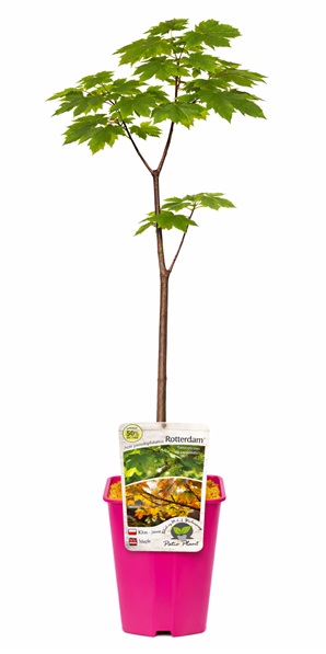 0d7ac8b5495bcaa83b9eba440970c00c