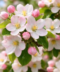 3162fe42b5b387fac484cb02f4545648