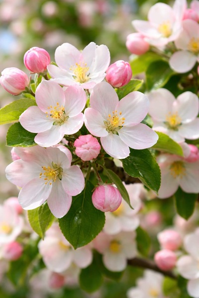 3162fe42b5b387fac484cb02f4545648