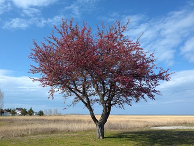 1c0cf8a43d7b02f4c4ff149dd6c0620e