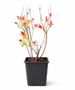 4d1e1d2516240dc8660a9b15b748e69f