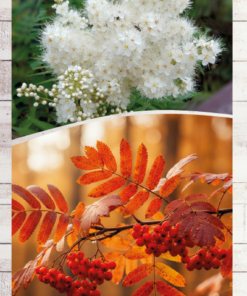 003d02946fb8eb538cc04eec1435aeee