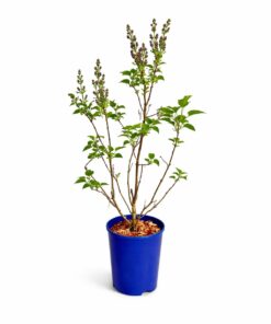 3cd215ec1fef6ac47db951a629716c34