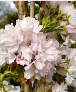 6e551f517a9d5fc69515d934f8811c3e