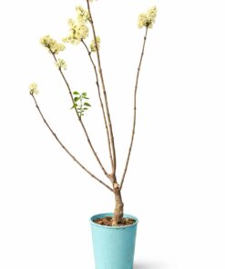 0b1b13256cce97e8f2bbc031b532fe3a