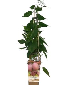 700339252700f80b7e85eaa111ad4562