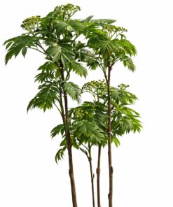 df6400ea4e849fcfa6f179d6e9b98c4f