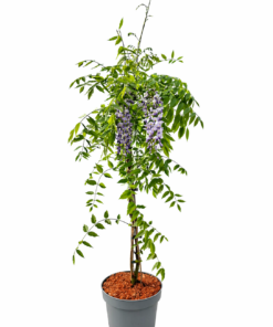 7389bed2827efe271346e5fc7a84a170