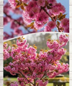 51ec60e545f81a9ddd1b7cf7159274f4