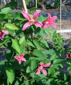 d39fa84221a0e55542adebc99417c1ef