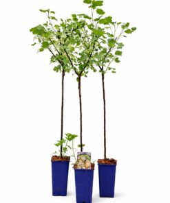 d9fbe1af9110e47f76bd651a3e1a455d