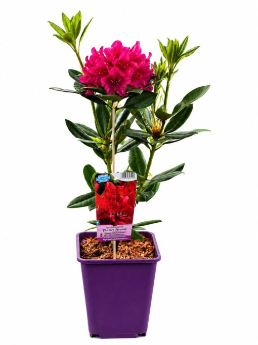 0230b69e58f2f188535592fc9868d83b