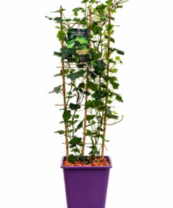 34b27b570ddc5d92adf27775a13bd75b