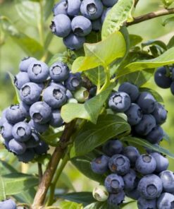 0b39a6b166d6a8b5c7be2965ccf04ff2