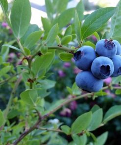 d74571c95d08635c6779818445e4f1d7