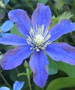 a1552824af30ed17ca2989188906e597