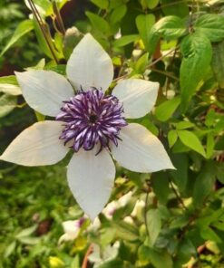 b0152bc20ea4d91db56b8295617a1d15