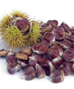 2f04fbe1921a2c1303cf17eb99e55c7c