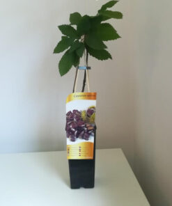 b171c5a865da9e9ea7cc67d027be0072