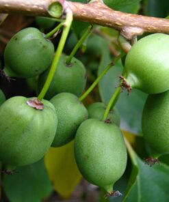 bc221a2c1977d79cc94b1a6f9db040a8