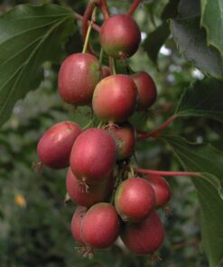 ec728148bab4555e0a3c90fb2499a0e2