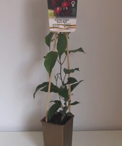 d201fa4a2f723643021244d2618be669