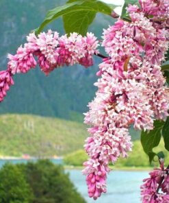 4dded2d8508bddb6331c06a1271ef9f1