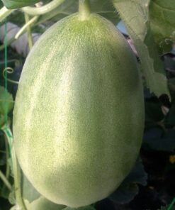 68d257b28f65b68e425a3315d18a18d4