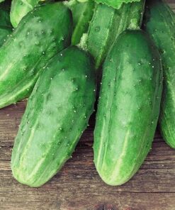 3c0ea6e8a67065165588531c568ae0c7