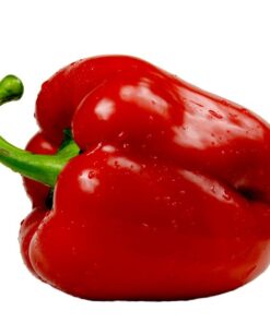 2be4b22e88ec493f6974fabb88ea9314