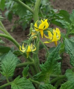 855795854120630e9d6143a0587000d3