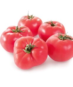 03263339a8a3cc36e07957711ac7a4fa