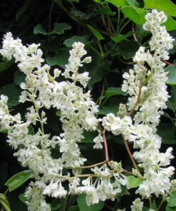 5f16f96bccd8063646a772a219f9cf4e