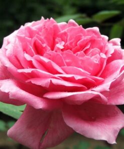 373fba43ed64302db54e0f7149b3af08