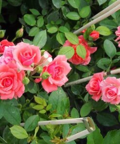 e91d37789b8a593100a8685d19ae9c6d