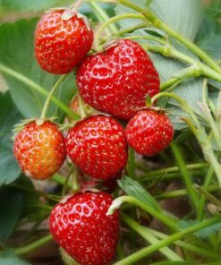 d47b9daad74aacfa4b877d0dff71773a