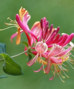 b2dfa66d592593093d58a24781ea3be0