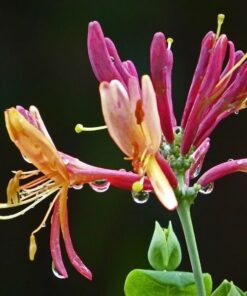 aaba30e913486ff3aec701d4d598b194