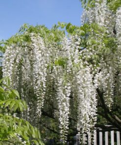 f3714846af55e039a33ee1a598433e32