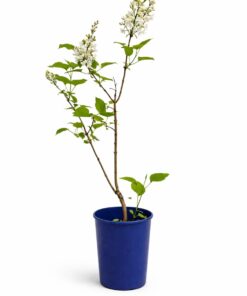 488e34b6c98b7756f9139d0515111b59